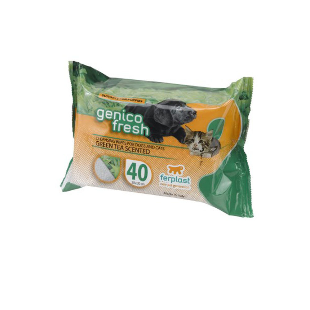 FERPLAST Салфетки GENICO FRESH Green Tea x40..