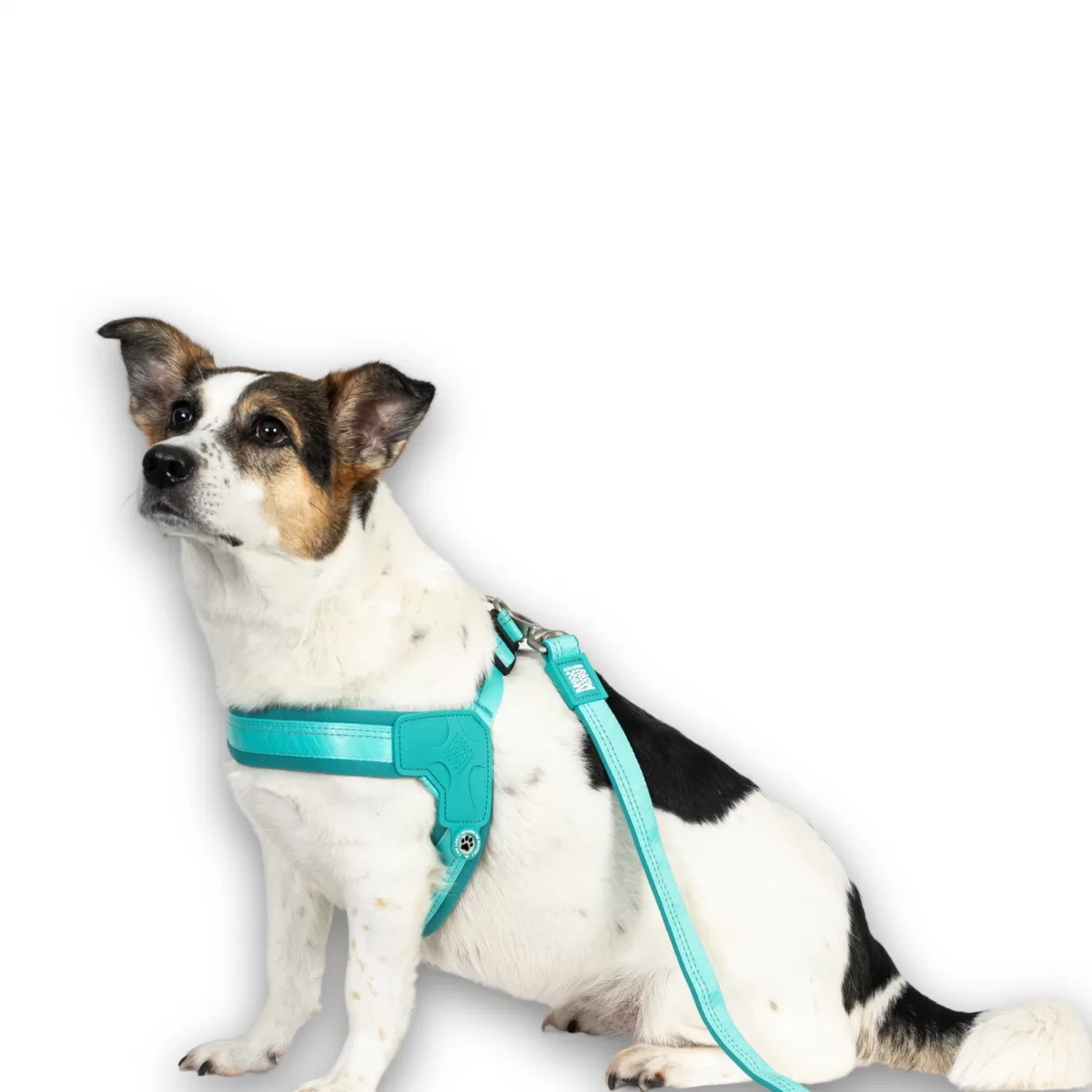 MAX & MOLLY Шлейка Q-Fit — Matrix 2.0 Turquoise XL