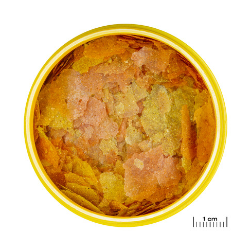 JBL PRONOVO FULGI DE COLORARE