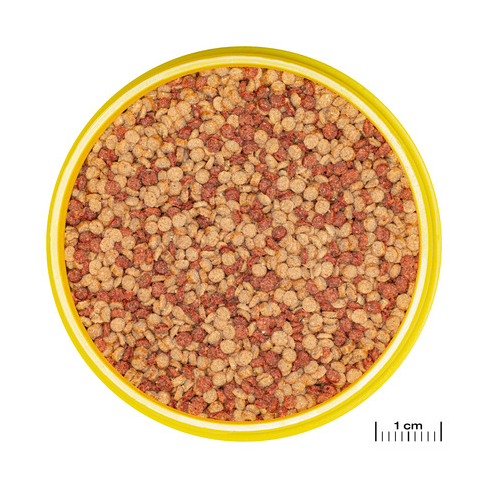 JBL PRONOVO COLOR GRANO
