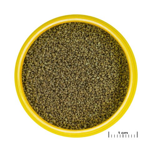 JBL PRONOVO DANIO GRANO