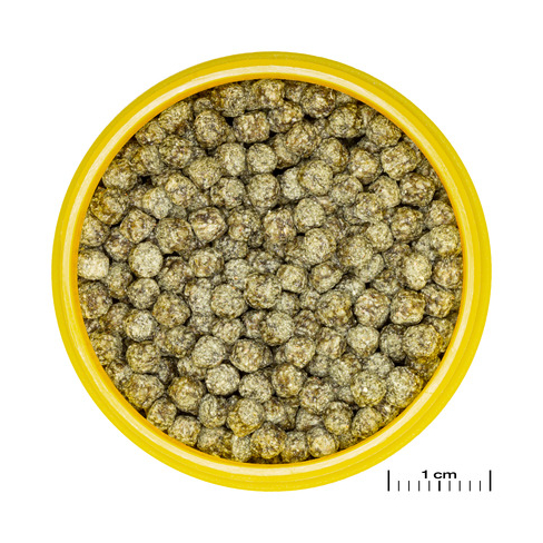 JBL PRONOVO RED GRANO