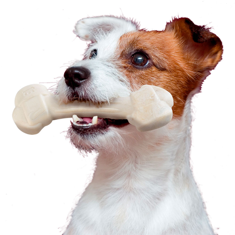 Игрушка GOODB NAT CHICKEN BONE XL 250g
