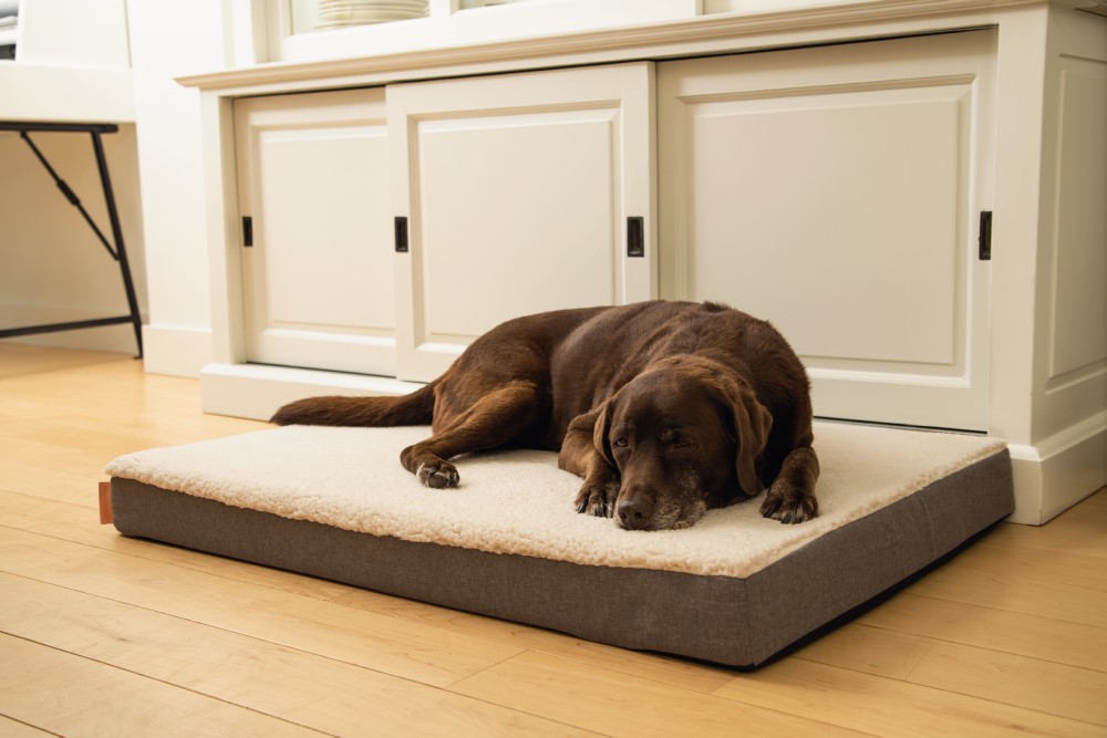 BEEZTEES лежак ортопед. Memoryfoam ZIRA Beige 100x70x9cm