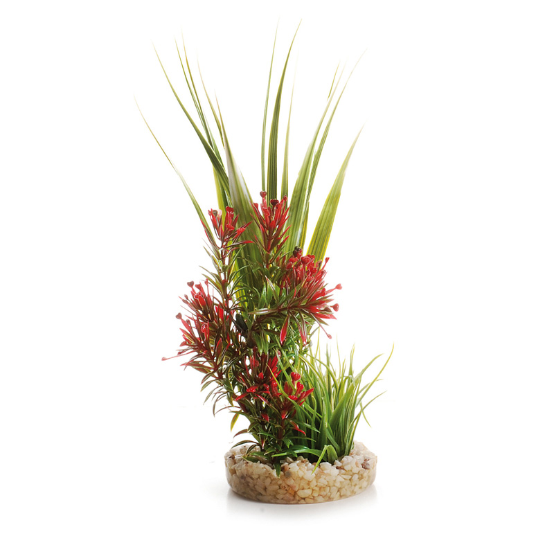 Cumpara  Decorațiuni - Растение пласт. AQUA FRIEND Water Garden 23x9..