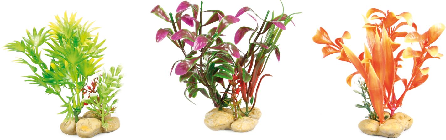 Растение пластик. Plant with Stone