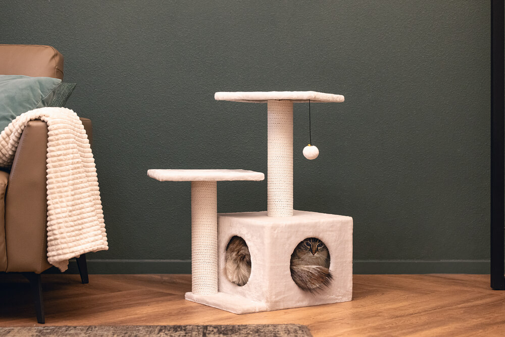 Beeztees Curățător pentru pisici SEPRA FIEN Alb 45x34x70cm