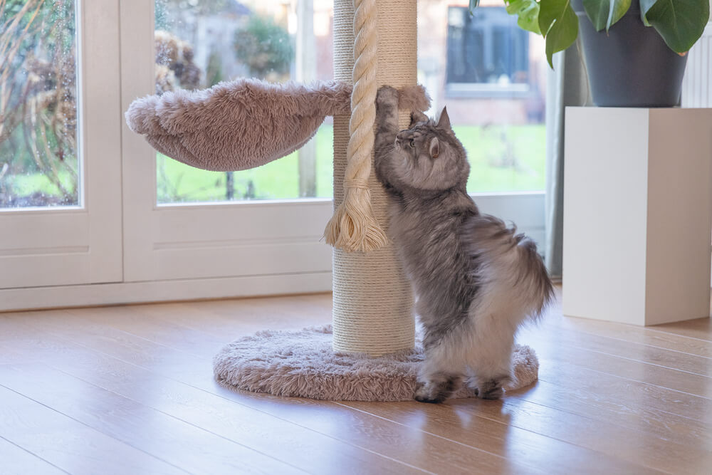 BEEZTEES scrubber pentru pisici RAMIRO Taupe 70x70x120cm