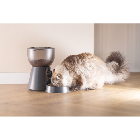 BEEZTEES Hrănitor Inteligent pentru pisici cu cameră Smart Feeder Cam Anthracite