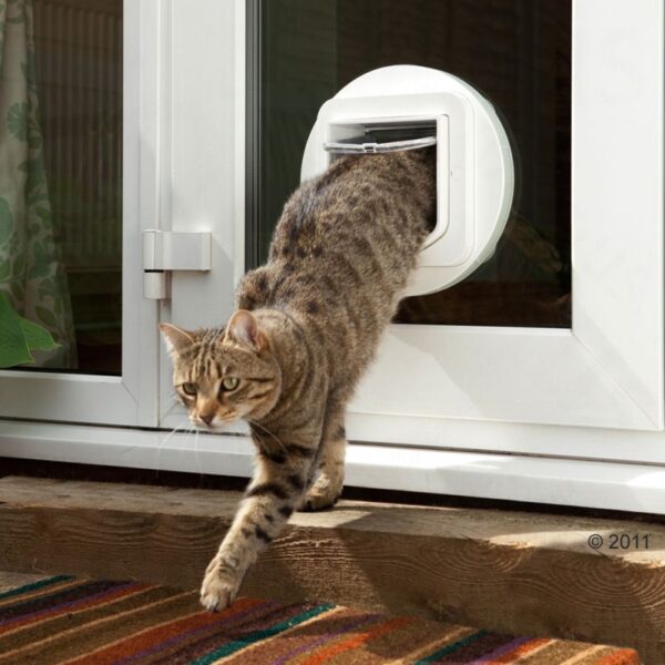 SURE FLAP Адаптер установочный для Cat Flap White