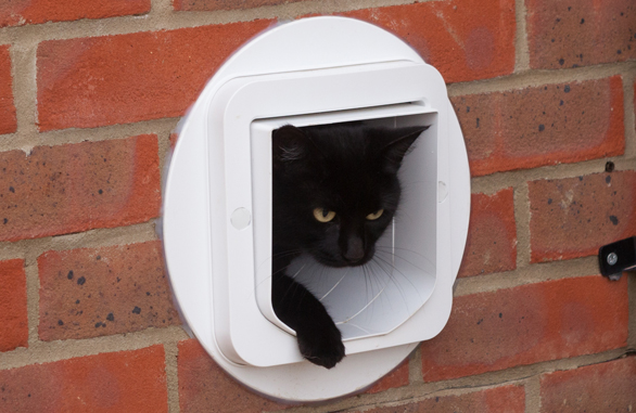 SURE FLAP Адаптер установочный для Cat Flap White