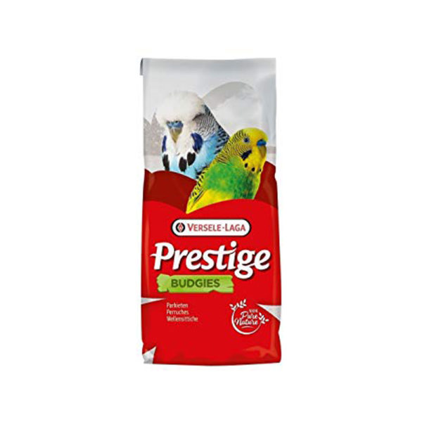 Budgies Prestige