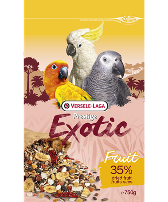 Exotic Parrots Fruit