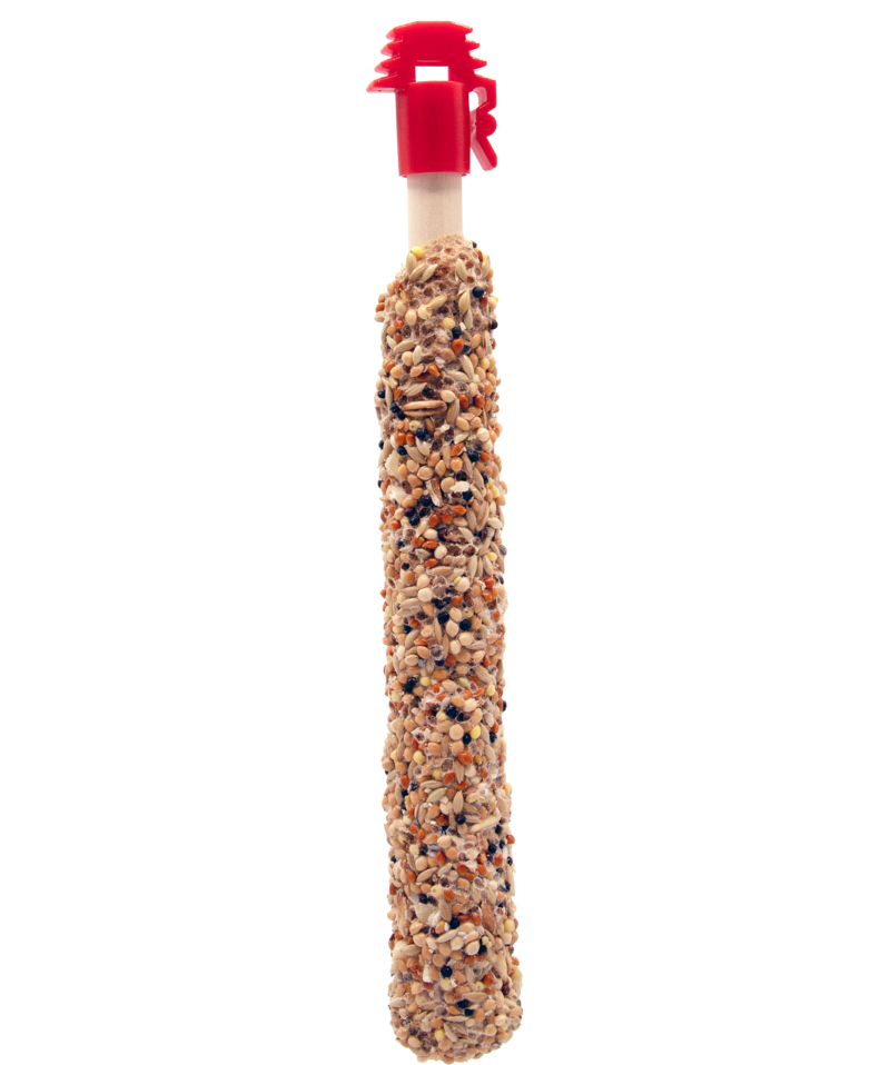 STICKS SMALL Parrot Nuts&Raisin 60g