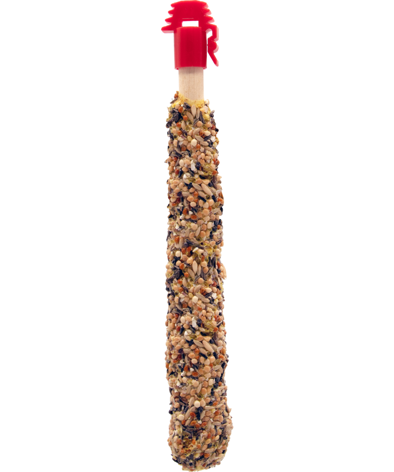 STICKS SMALL Parrot Eggs&Thyme 60g