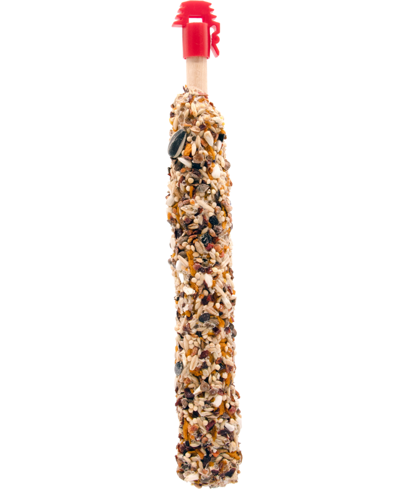 STICKS BIG Parrakeets with Mango&Rosehip 140g