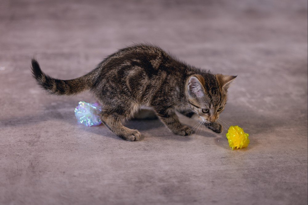 BEEZTEES jucărie pentru pisici Crinkle Balls EVY 4x