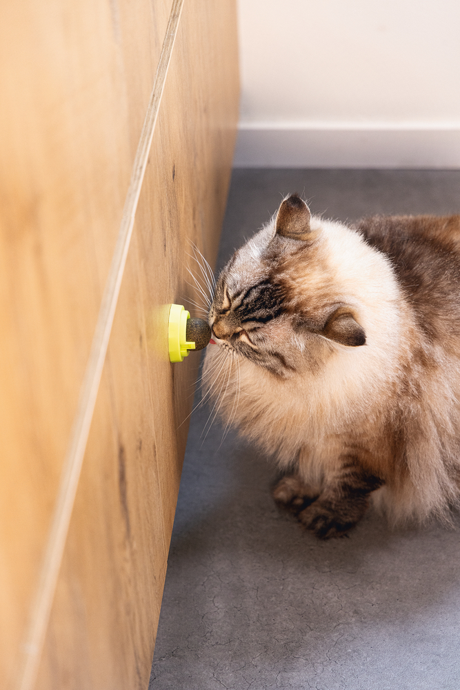 BZ jucărie pentru pisici CATNIP BALLS JUMZ 3pcs