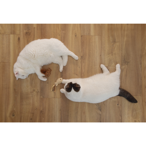 BEEZTEES jucărie pentru pisici CATNIP Fish Sadie