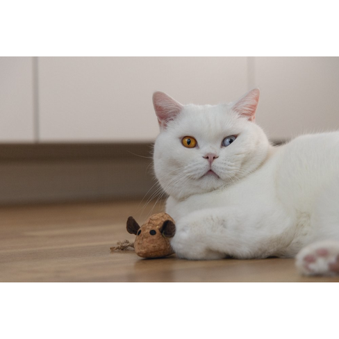 BEEZTEES jucărie pentru pisici CATNIP Cork Mouse REINIE