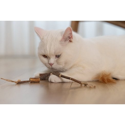 BZ игрушка для кошки Matatabi String Mika