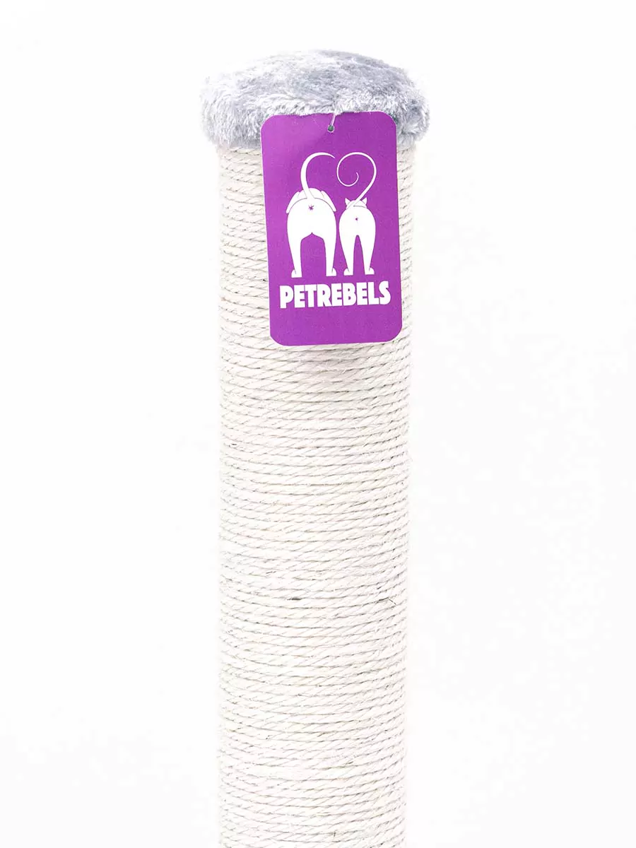 PETREBELS LITTLE REBELS MAINE 90 Light Grey