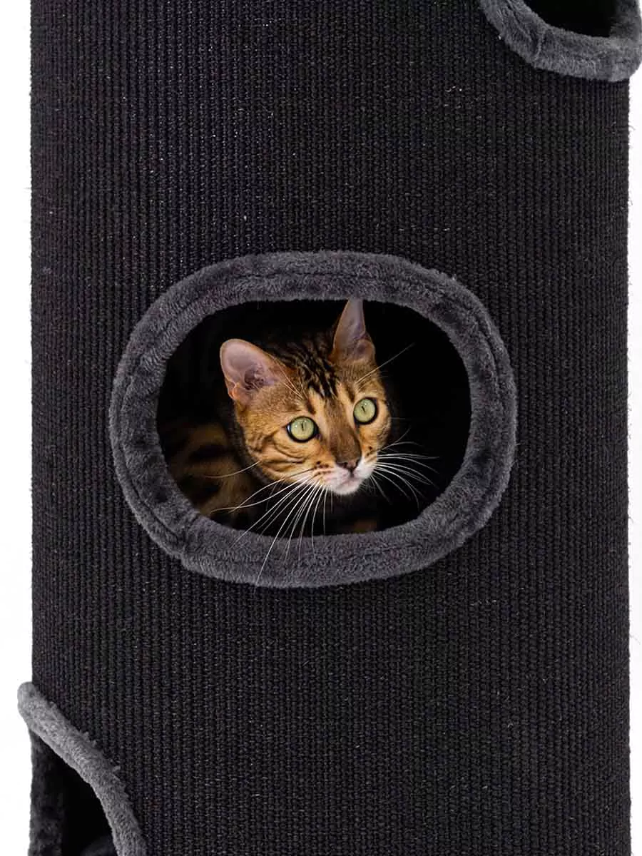 PETREBELS CHAMPIONS Only Dome 110 Pepper