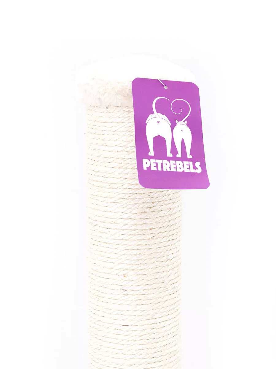 PETREBELS LITTLE REBELS MAINE 90 Cappuccino
