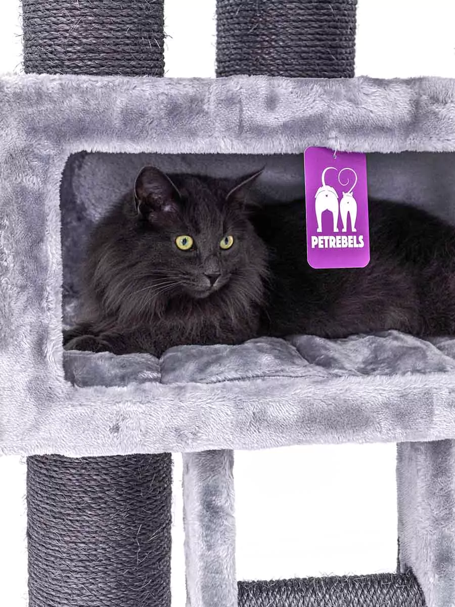 PETREBELS Lucky Bastards Parklane 175 Grey