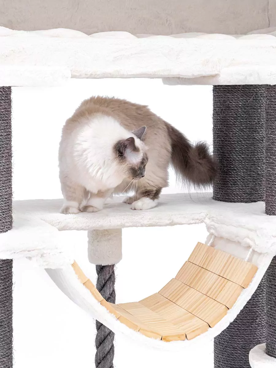 PETREBELS Lucky Bastards Lookout 198 OFF White