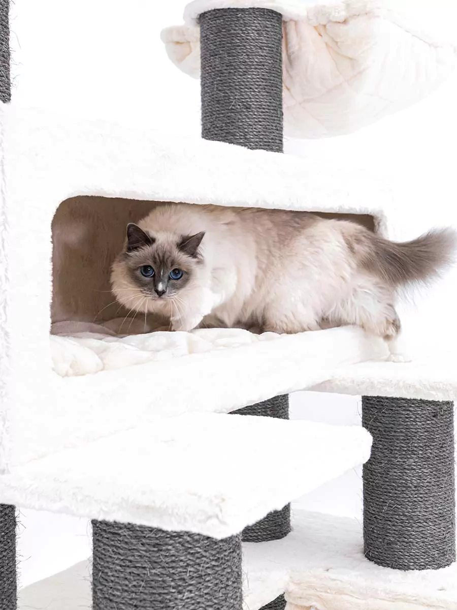 PETREBELS Lucky Bastards Lookout 198 OFF White