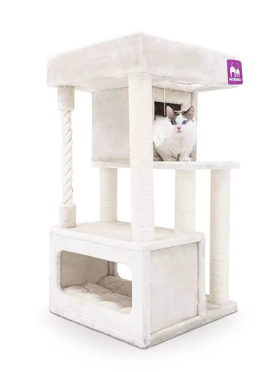 PETREBELS SWEET PETIT Lodge 107 Cre..
