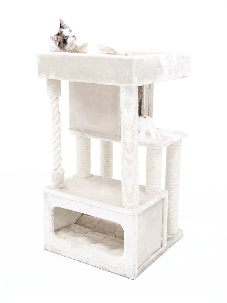 PETREBELS SWEET PETIT Lodge 107 Cream