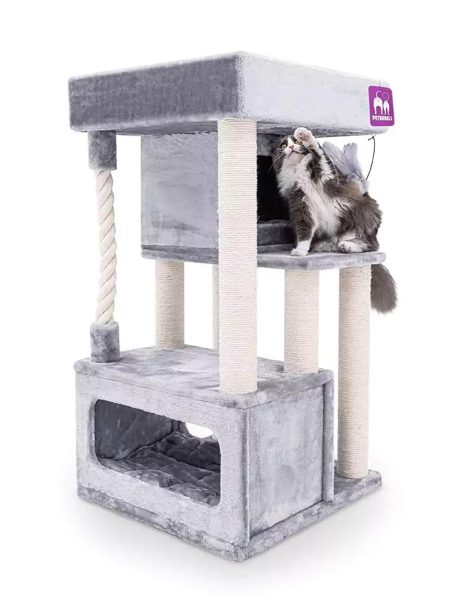 PETREBELS SWEET PETIT Lodge 107 Gre..