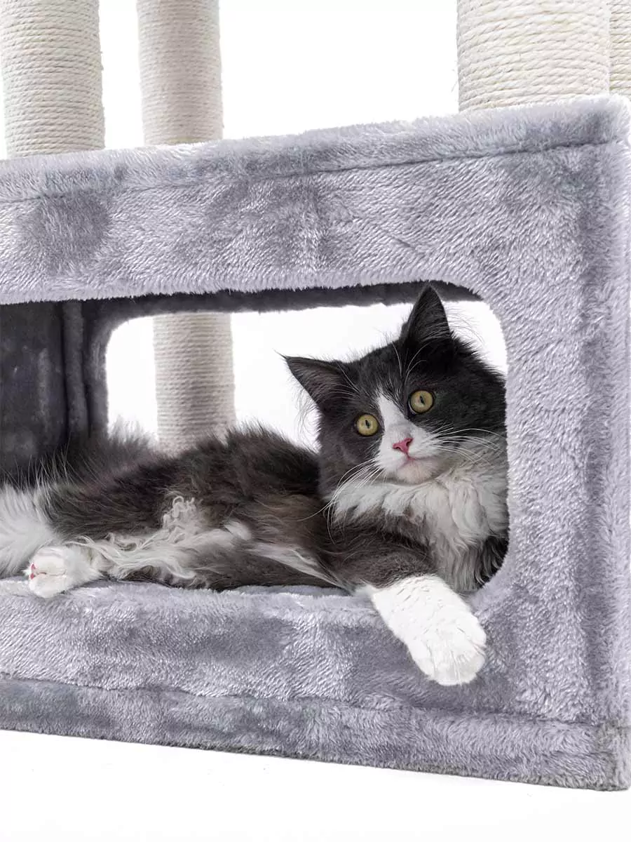 PETREBELS SWEET PETIT Lodge 107 Grey