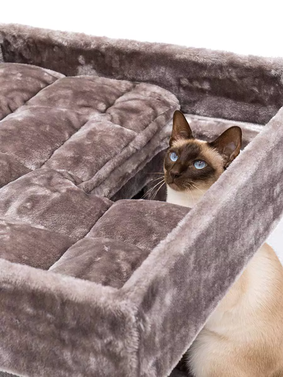 PETREBELS SWEET PETIT Lodge 107 Cappuccino