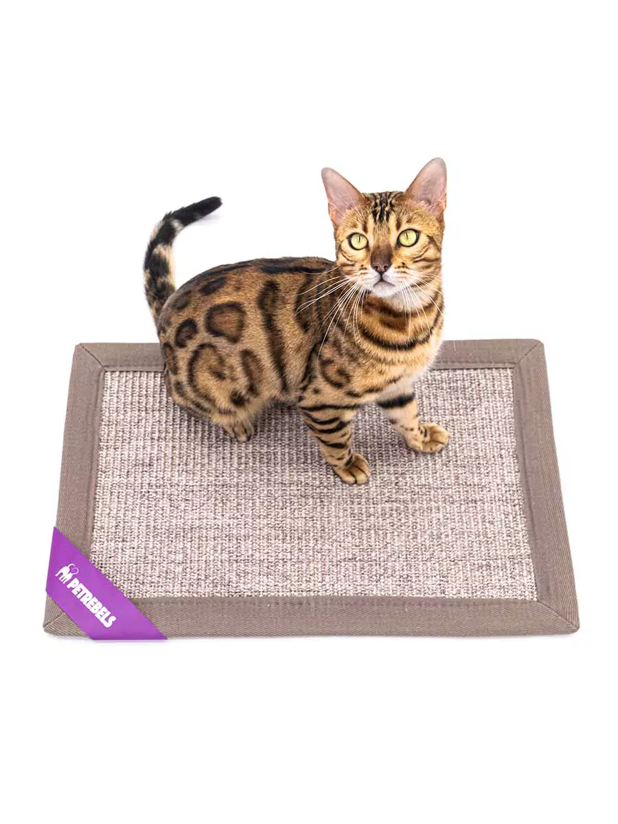 PETREBELS More Mastermat 60 Cappuccino