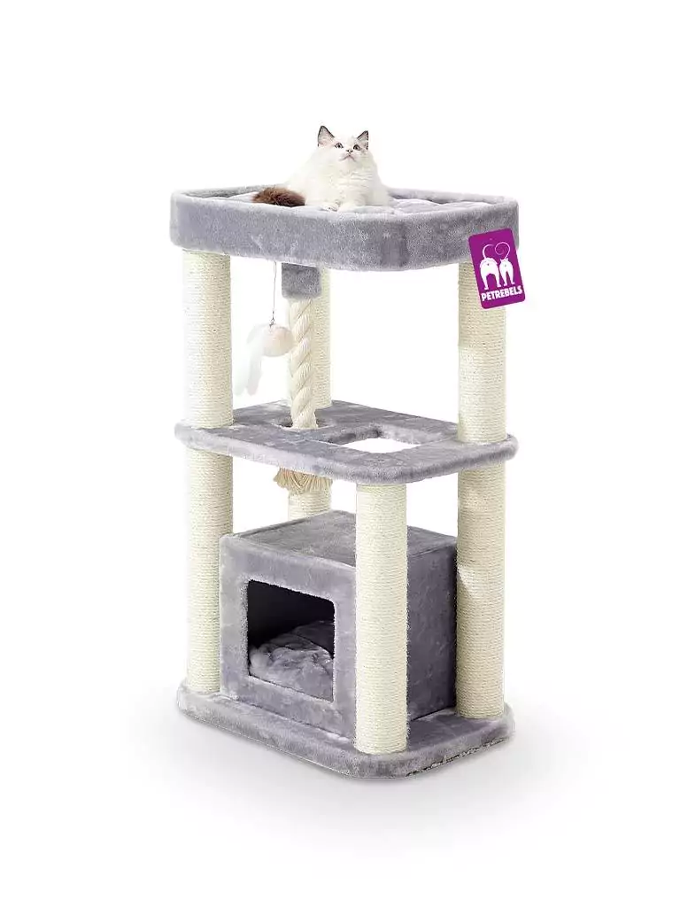 PETREBELS SWEET PETIT VILLA 100 Gre..