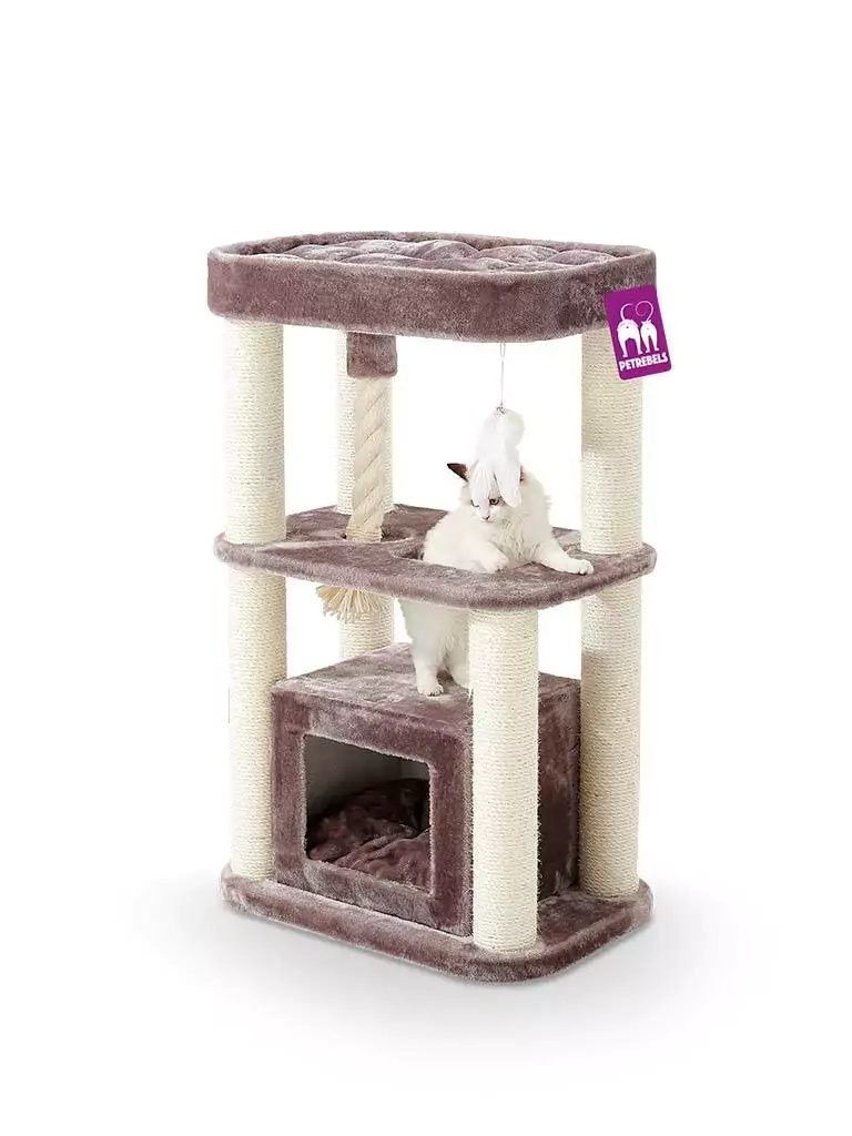 PETREBELS SWEET PETIT VILLA 100 Cap..
