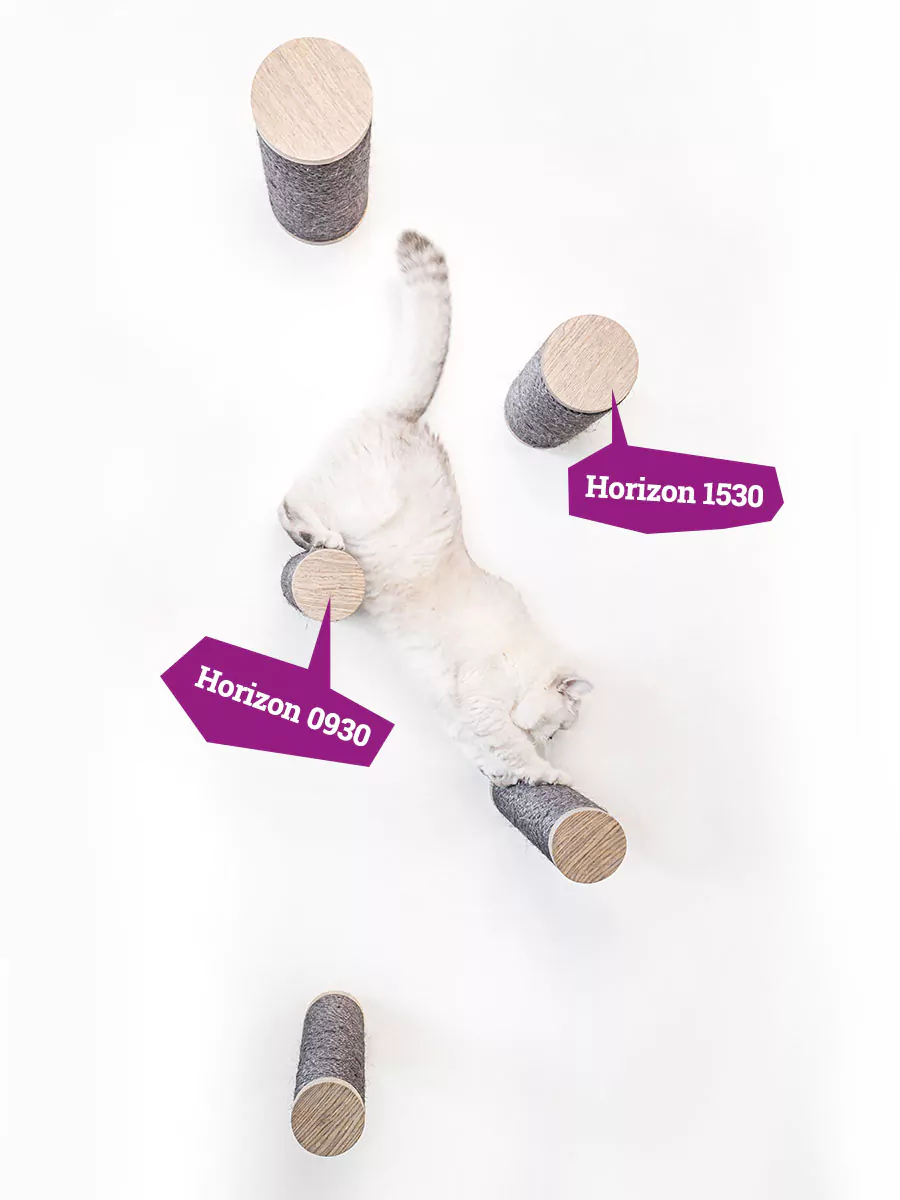 PETREBELS WALL of REBELS Horizon 0930-set of 3 Old Grey