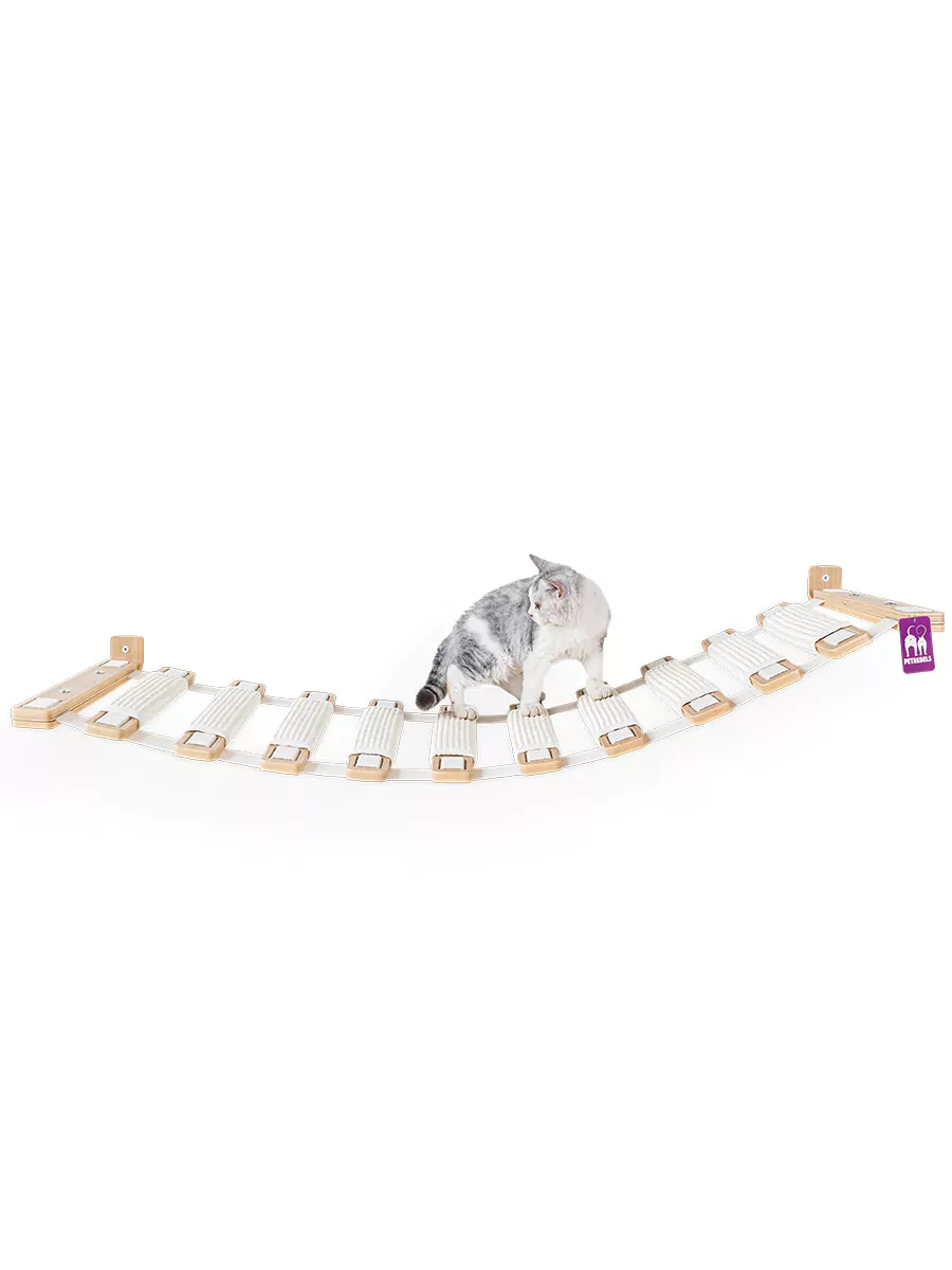 PETREBELS WALL of REBELS Brige 135-..