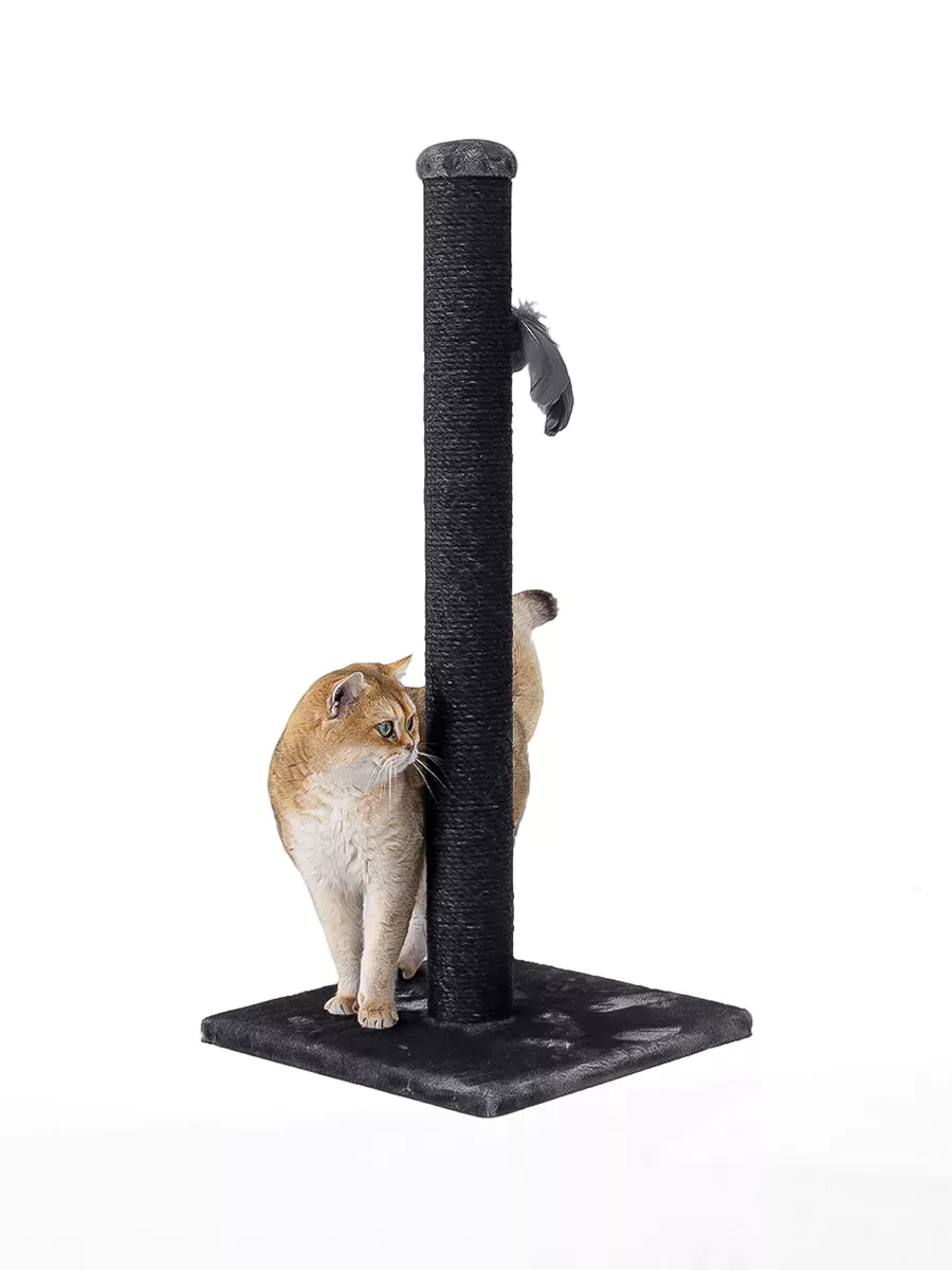 PETREBELS LITTLE REBELS Maine 90 de Luxe Pepper