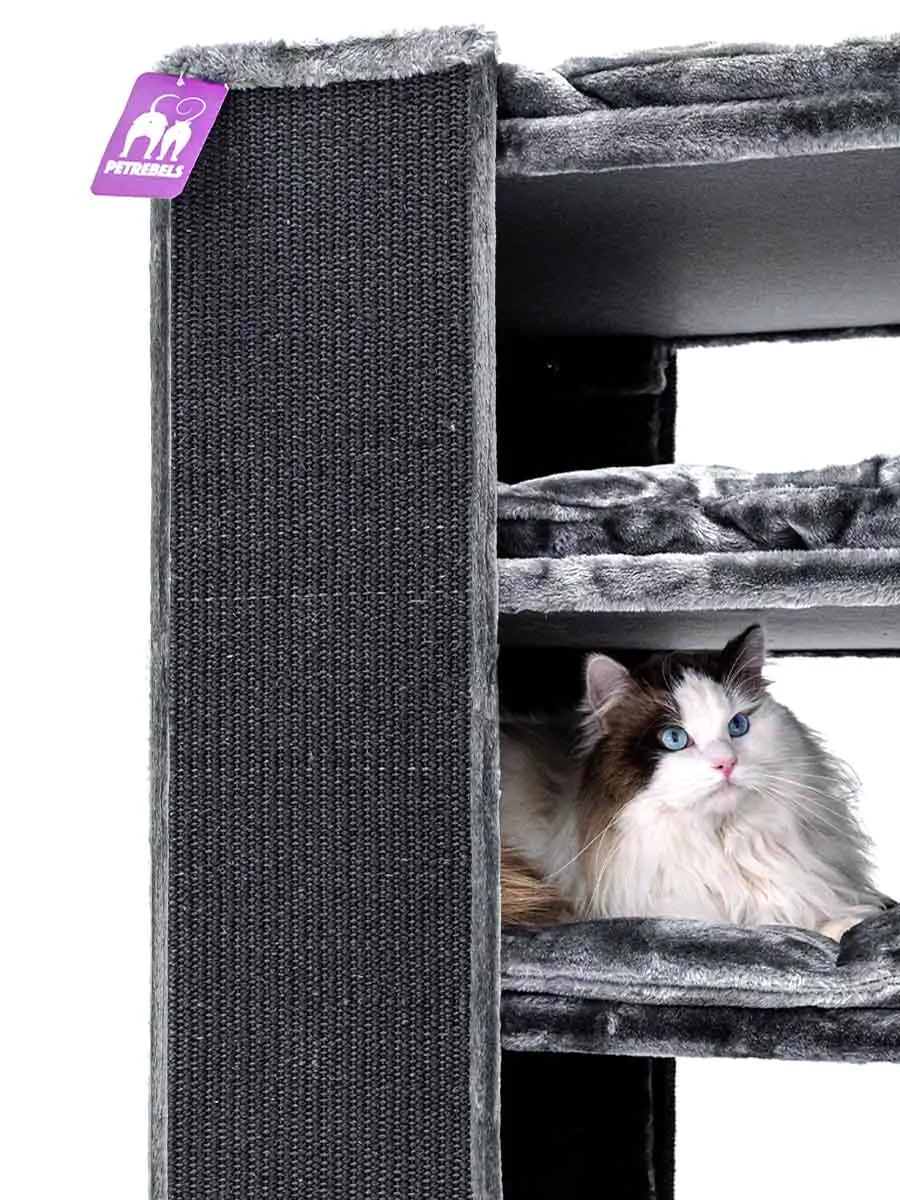 PETREBELS CHAMPIONS Only Pillar 117 Cappuccino
