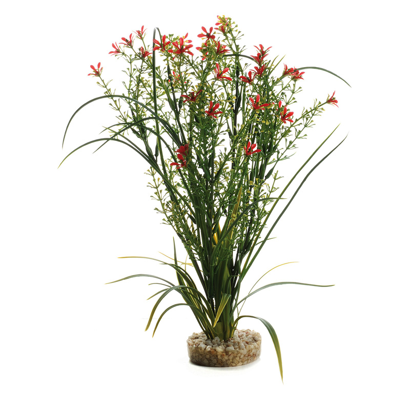Cumpara  Decorațiuni - Растение пласт. AQUA FRIEND Bouquet 35x16x7cm..