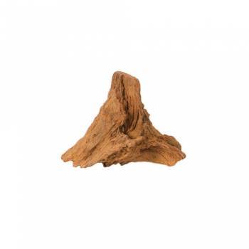 AQUAEL Acvariu Mangrove Root S 15-25
