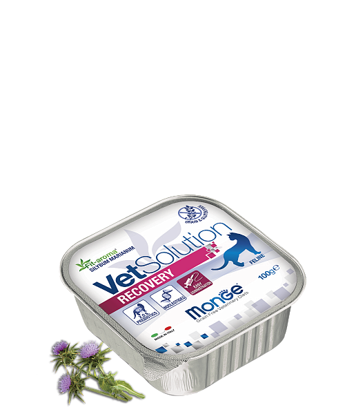 MONGE VETSOLUTION CAT RECOVERY 100gr.