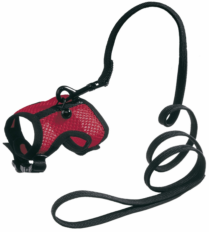 BEEZTEES ham pentru pisici COMFORT