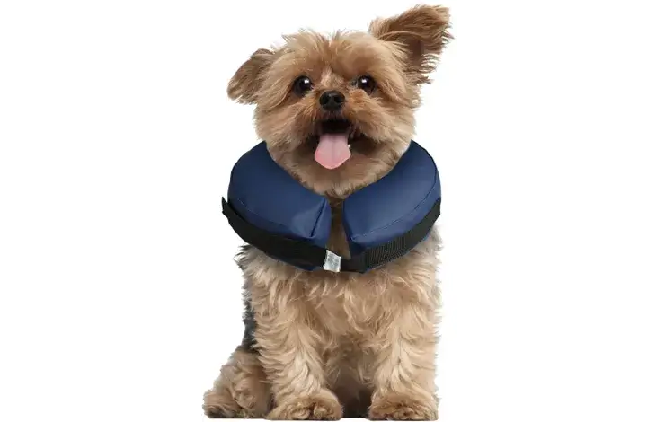 FLAMINGO zgardă de protecție pentru câini DOGS GOFI S