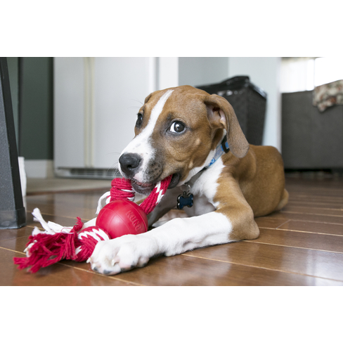 Jucarie Kong Ball with Rope Small
