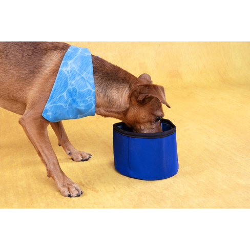 Охлаждающая дорожная миска для воды Cooling Bowl Fresk Nord
